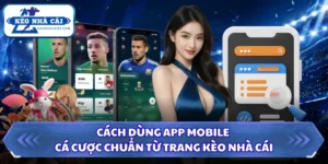 Cách Dùng App Mobile Cá Cược Chuẩn Từ Trang Kèo Nhà Cái 8 Cách dùng app mobile