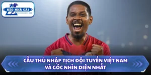 Cầu Thủ Nhập Tịch Đội Tuyển Việt Nam Và Góc Nhìn Toàn Diện 12 Cầu thủ nhập tịch đội tuyển Việt Nam