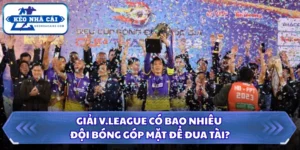 Giải V.League Có Bao Nhiêu Đội Bóng Góp Mặt Để Đua Tài? 12 Giải V.League có bao nhiêu đội